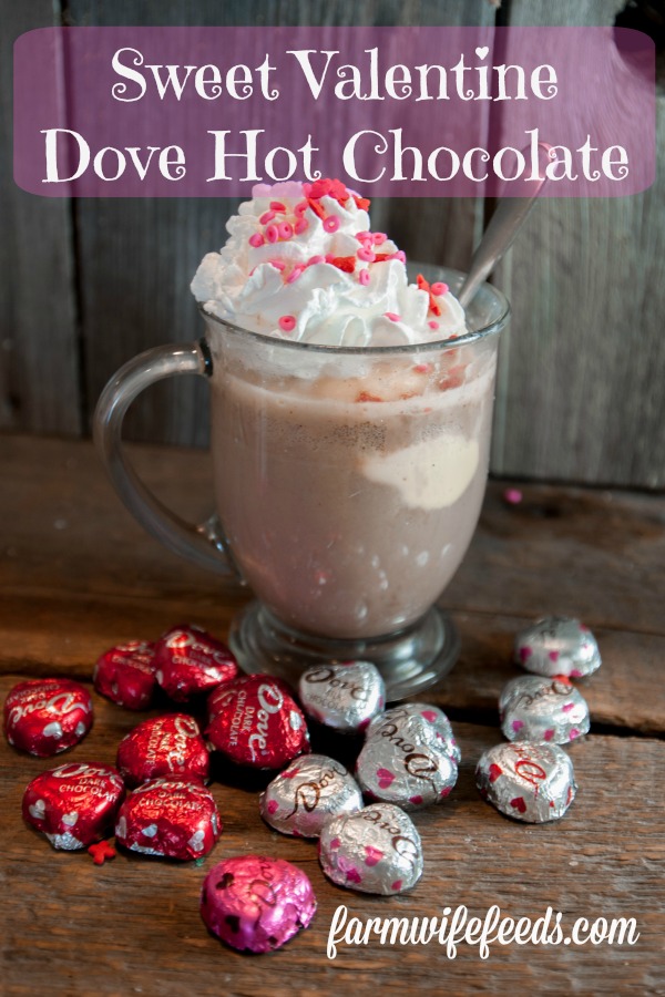 Sweet Valentine Dove Hot Chocolate The Farmwife Feeds